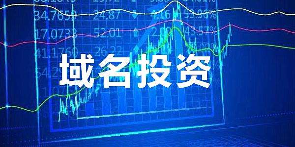 域名投資的技巧與案例