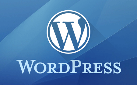 WordPress插件出現(xiàn)漏洞 允許黑客清除多達(dá)20萬個(gè)網(wǎng)站